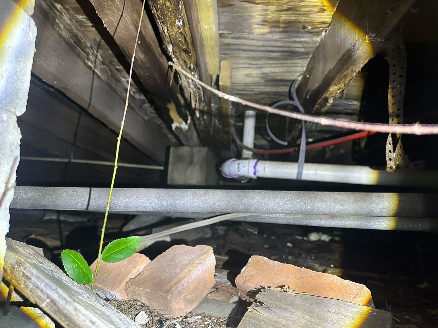 Deteriorated, stained wood joists in a Tampa home crawlspace during a home inspection