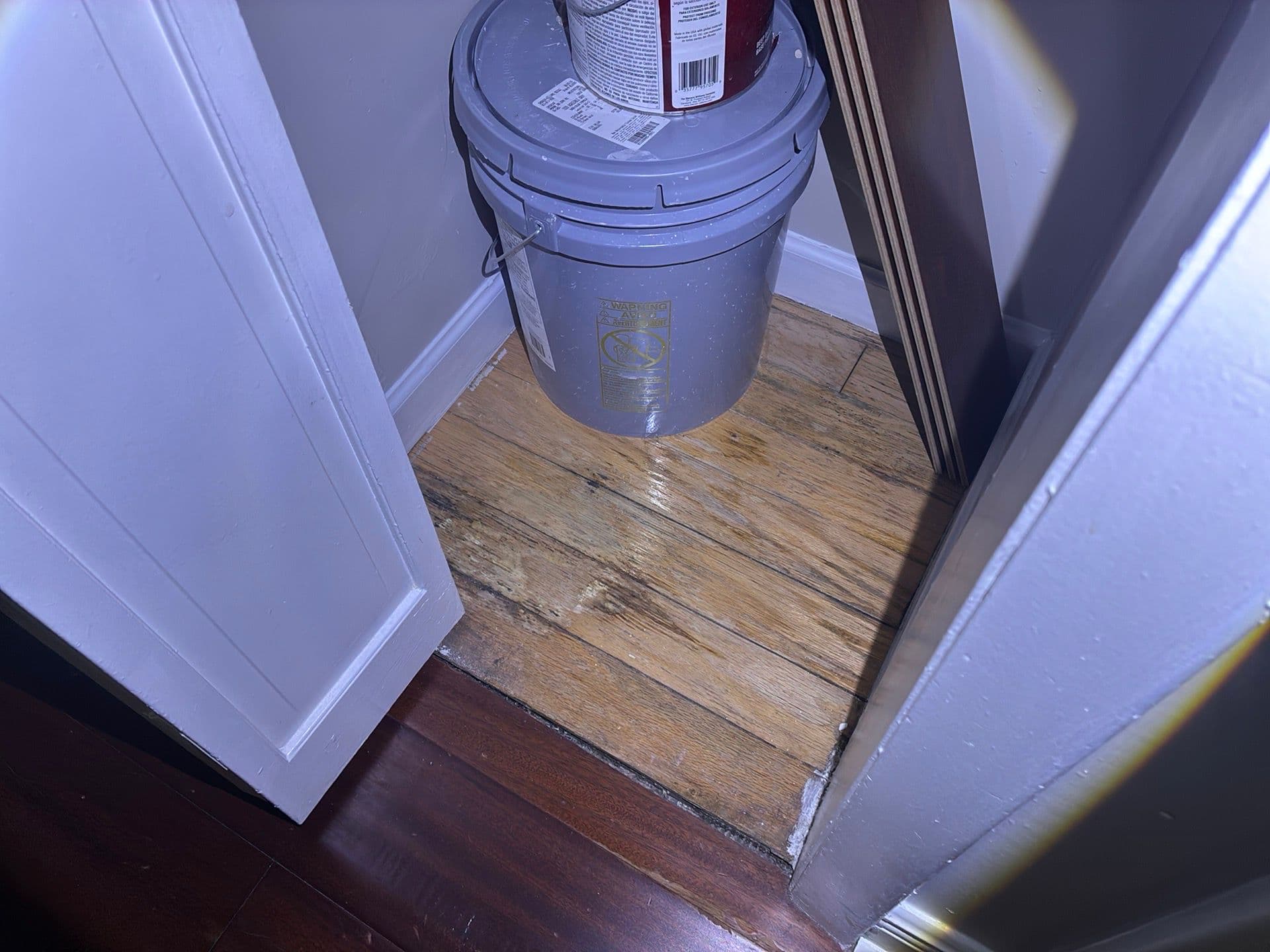 Water-damaged wood flooring inside a hallway closet found during a Tampa home inspection