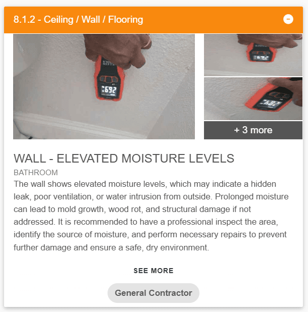 One complete finding with its title, description, photo, recommendation, and colored category visible.