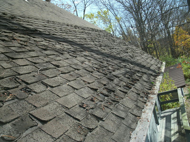 Damaged Roofing Shingles